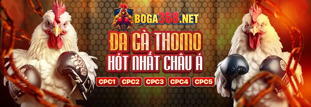 Đá Gà Trực Tuyến DV88 với Khuyến Mãi Hấp Dẫn